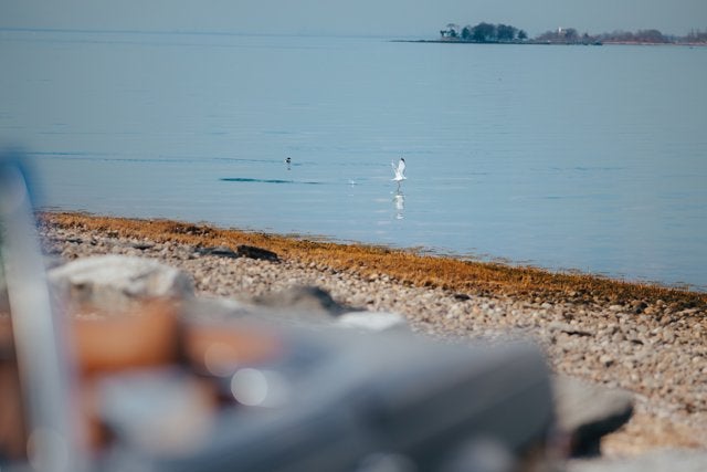 1970 Mercedes-Benz 280SL Base